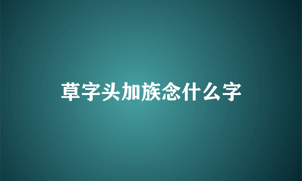 草字头加族念什么字