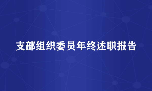 支部组织委员年终述职报告