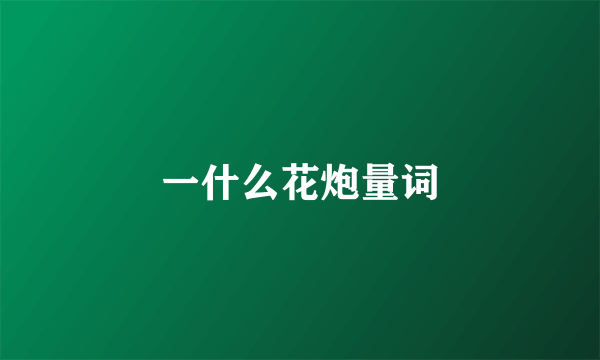 一什么花炮量词