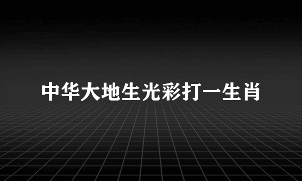 中华大地生光彩打一生肖