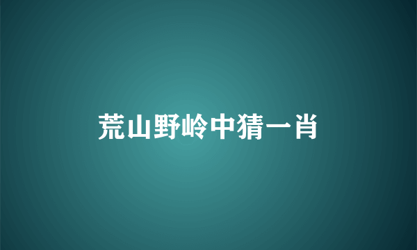 荒山野岭中猜一肖