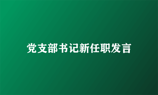 党支部书记新任职发言