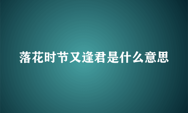 落花时节又逢君是什么意思