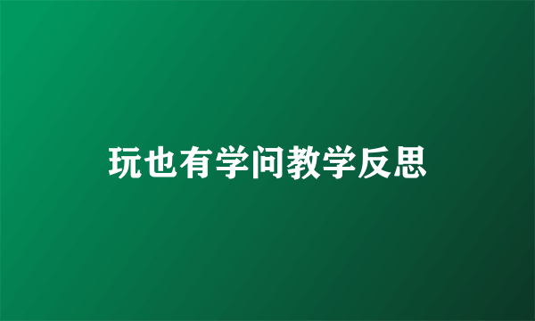 玩也有学问教学反思