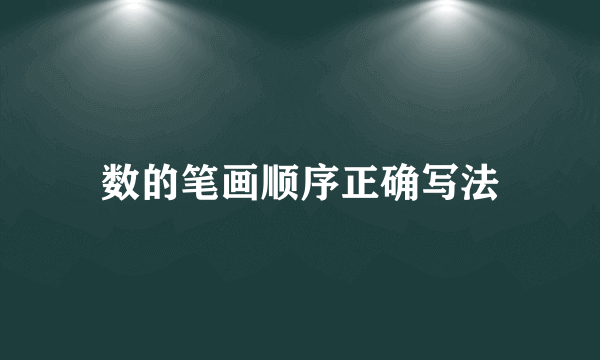 数的笔画顺序正确写法