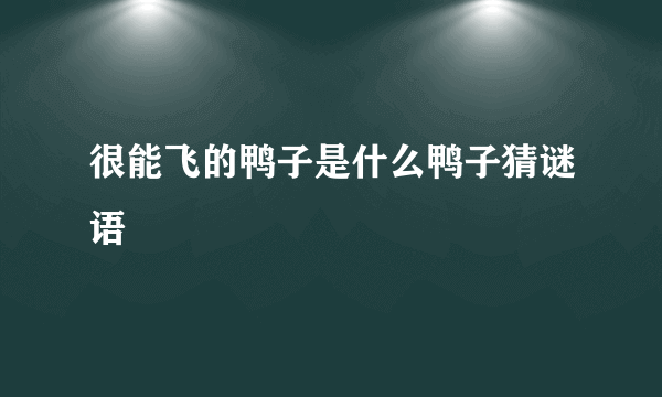 很能飞的鸭子是什么鸭子猜谜语