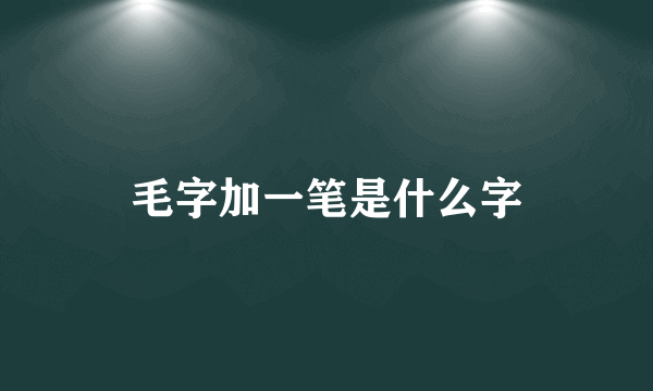 毛字加一笔是什么字