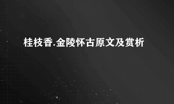 桂枝香.金陵怀古原文及赏析