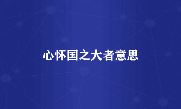 心怀国之大者意思