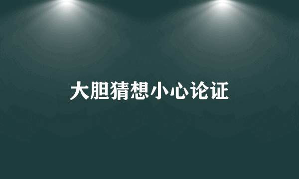 大胆猜想小心论证