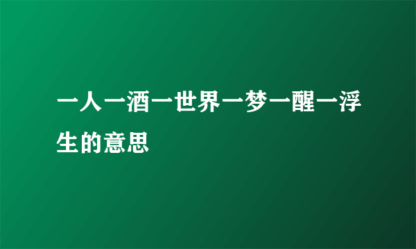 一人一酒一世界一梦一醒一浮生的意思