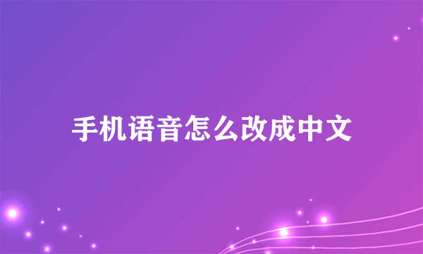 手机语音怎么改成中文