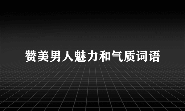 赞美男人魅力和气质词语