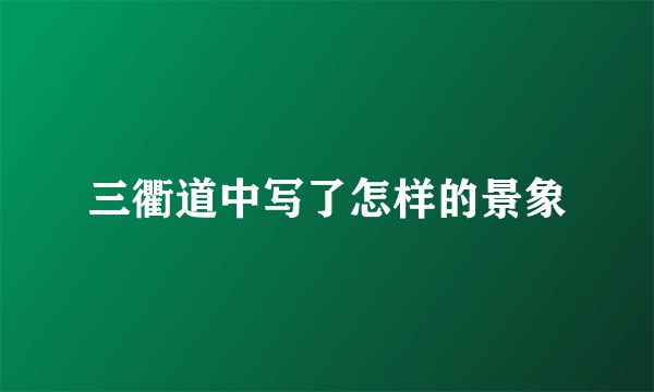 三衢道中写了怎样的景象