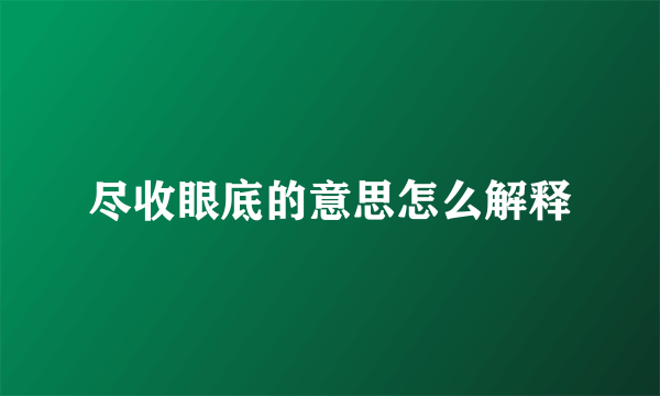 尽收眼底的意思怎么解释