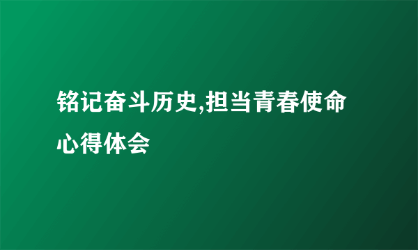 铭记奋斗历史,担当青春使命心得体会