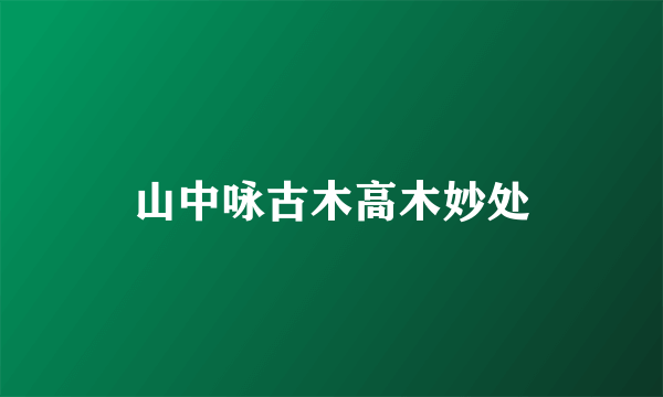 山中咏古木高木妙处