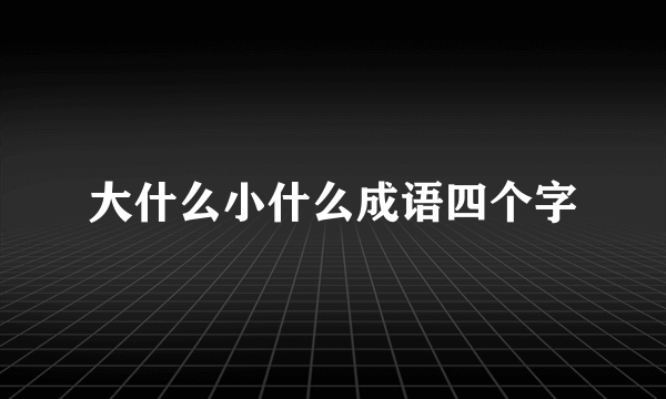 大什么小什么成语四个字