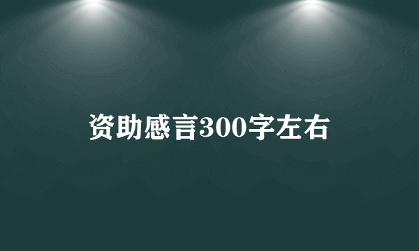 资助感言300字左右