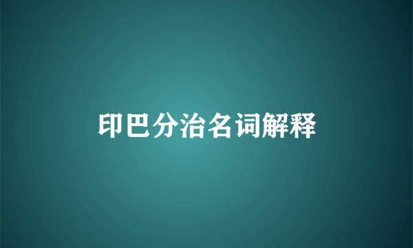 印巴分治名词解释