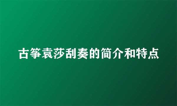 古筝袁莎刮奏的简介和特点