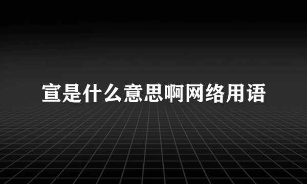 宣是什么意思啊网络用语