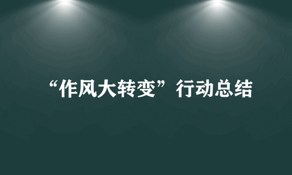 “作风大转变”行动总结