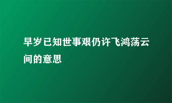 早岁已知世事艰仍许飞鸿荡云间的意思