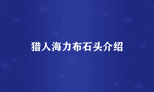 猎人海力布石头介绍