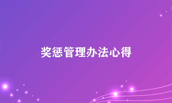 奖惩管理办法心得