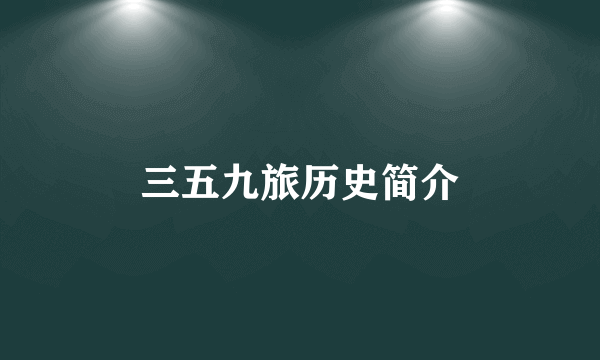三五九旅历史简介