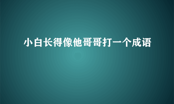 小白长得像他哥哥打一个成语