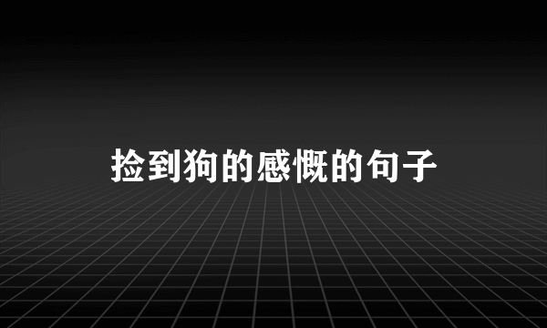 捡到狗的感慨的句子