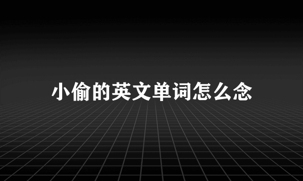 小偷的英文单词怎么念