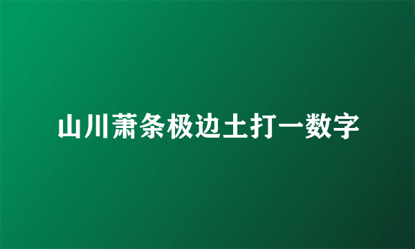 山川萧条极边土打一数字