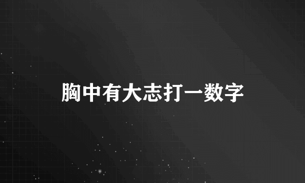 胸中有大志打一数字