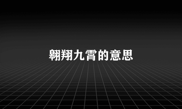 翱翔九霄的意思