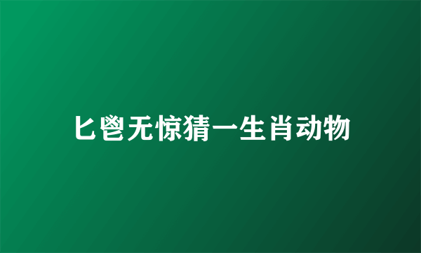 匕鬯无惊猜一生肖动物