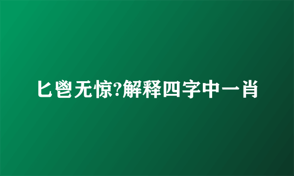 匕鬯无惊?解释四字中一肖