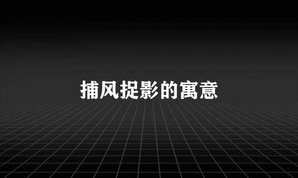 捕风捉影的寓意
