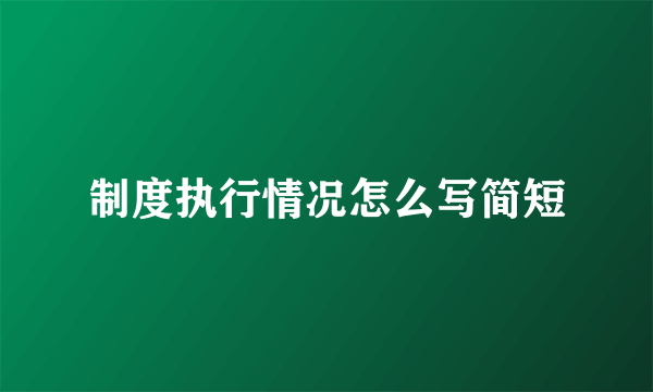 制度执行情况怎么写简短
