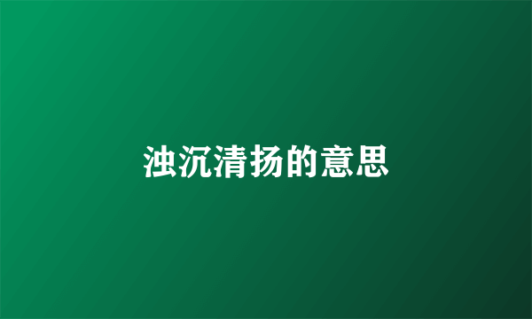 浊沉清扬的意思