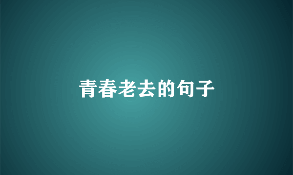 青春老去的句子