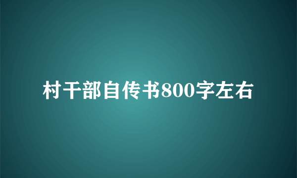 村干部自传书800字左右