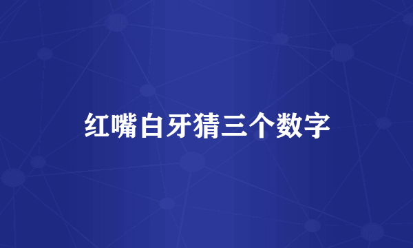 红嘴白牙猜三个数字