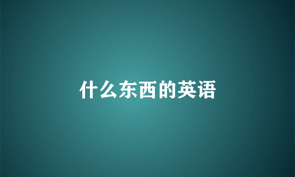 什么东西的英语