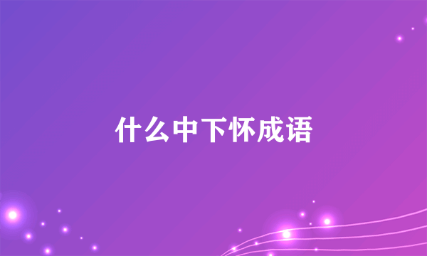 什么中下怀成语