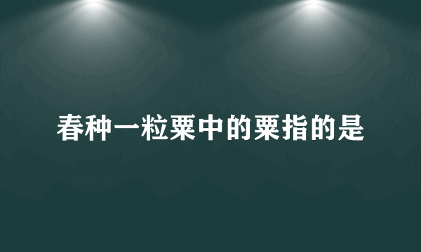 春种一粒粟中的粟指的是