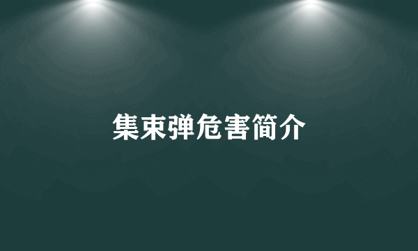 集束弹危害简介