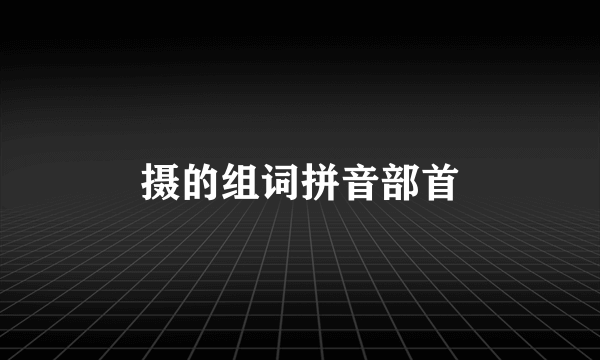 摄的组词拼音部首